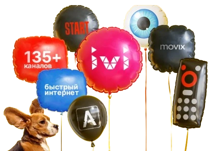 Услуги Дом.ру в посёлке Стрельна